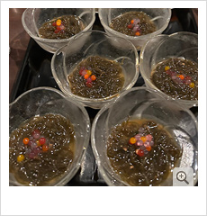 �{�Ó� �z�e���b�Z�C���C���{�Ó�